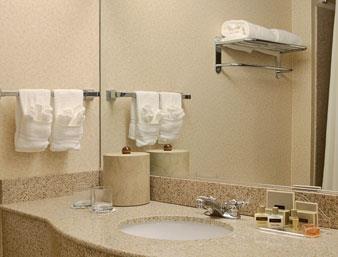 Hotel Wingate By Wyndham Chesapeake